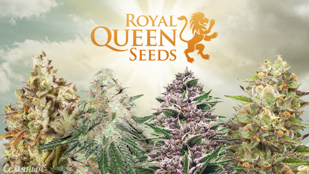 AUTOFLOWERING SEEDS