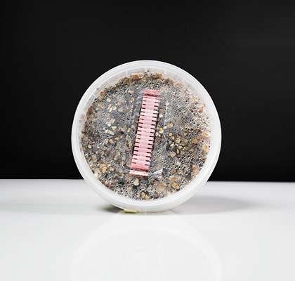 McKennaii Growkit – 250 cc