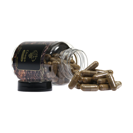 McMyco Chaga extract capsules – 120 stuks