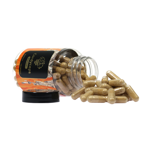 McMyco Cordyceps extract capsules – 120 stuks
