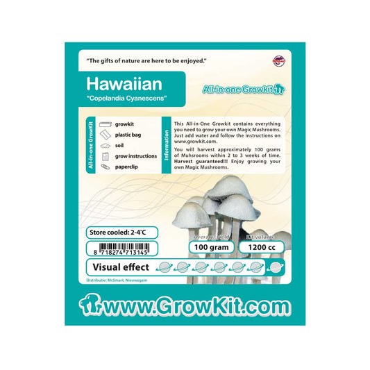 Hawaiian Growkit - 1200 cc (Psilocybe Copelandia)