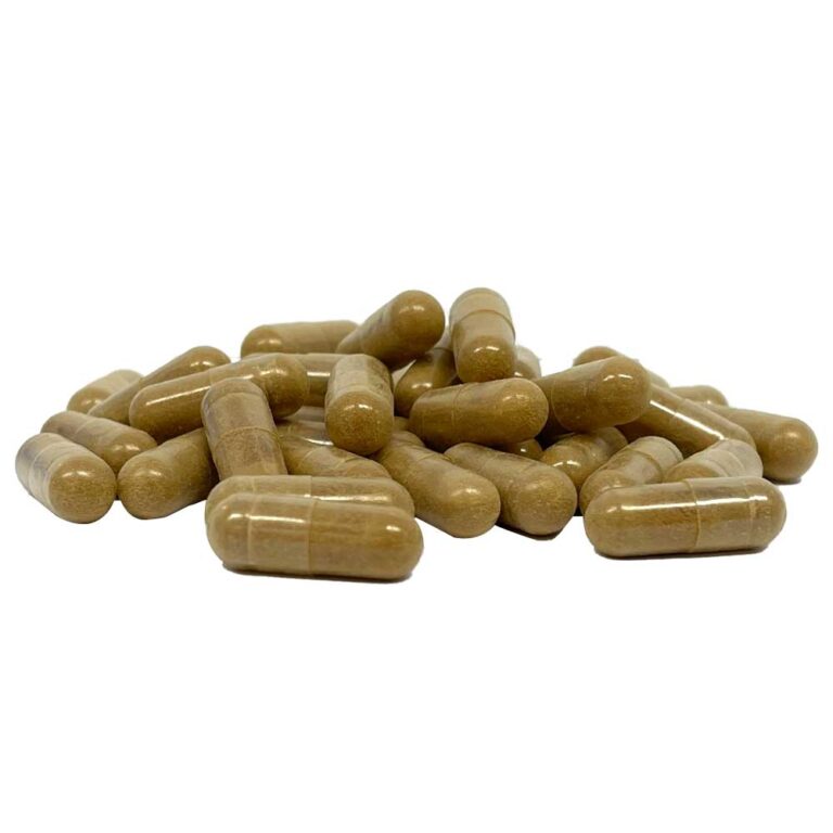 McMyco Maitake extract capsules – 120 stuks