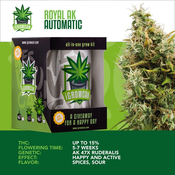 IGROWCAN – ROYAL AK AUTOMATIC