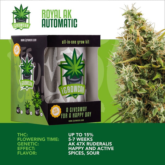 IGROWCAN – ROYAL AK AUTOMATIC