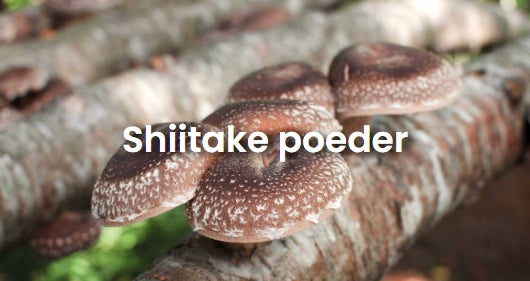 Shiitake - 200 gram