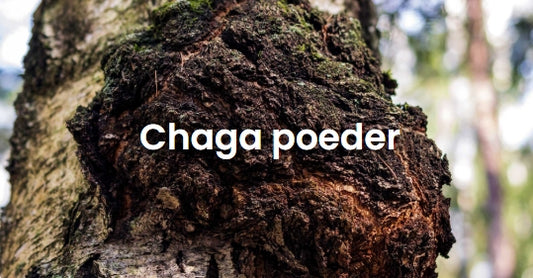 Chaga - 200 gram