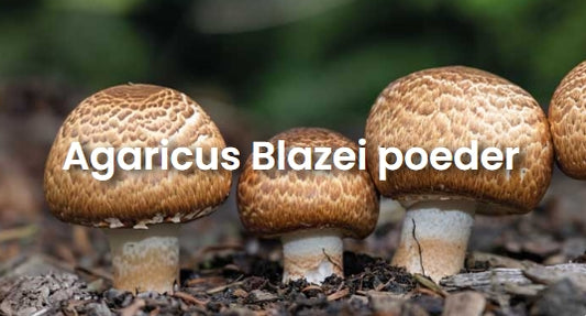 Agaricus Blazei - 200 gram