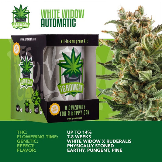 IGROWCAN – WHITE WIDOW AUTOMATIC