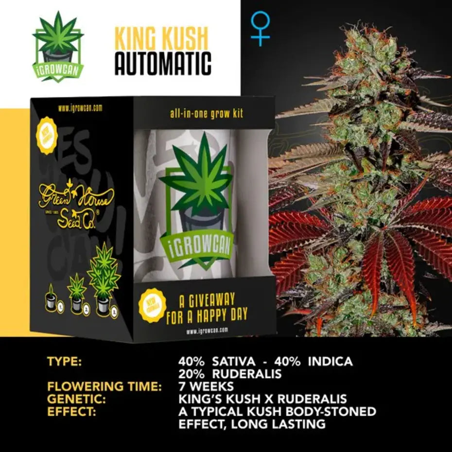 IGROWCAN-KING KUSH AUTO