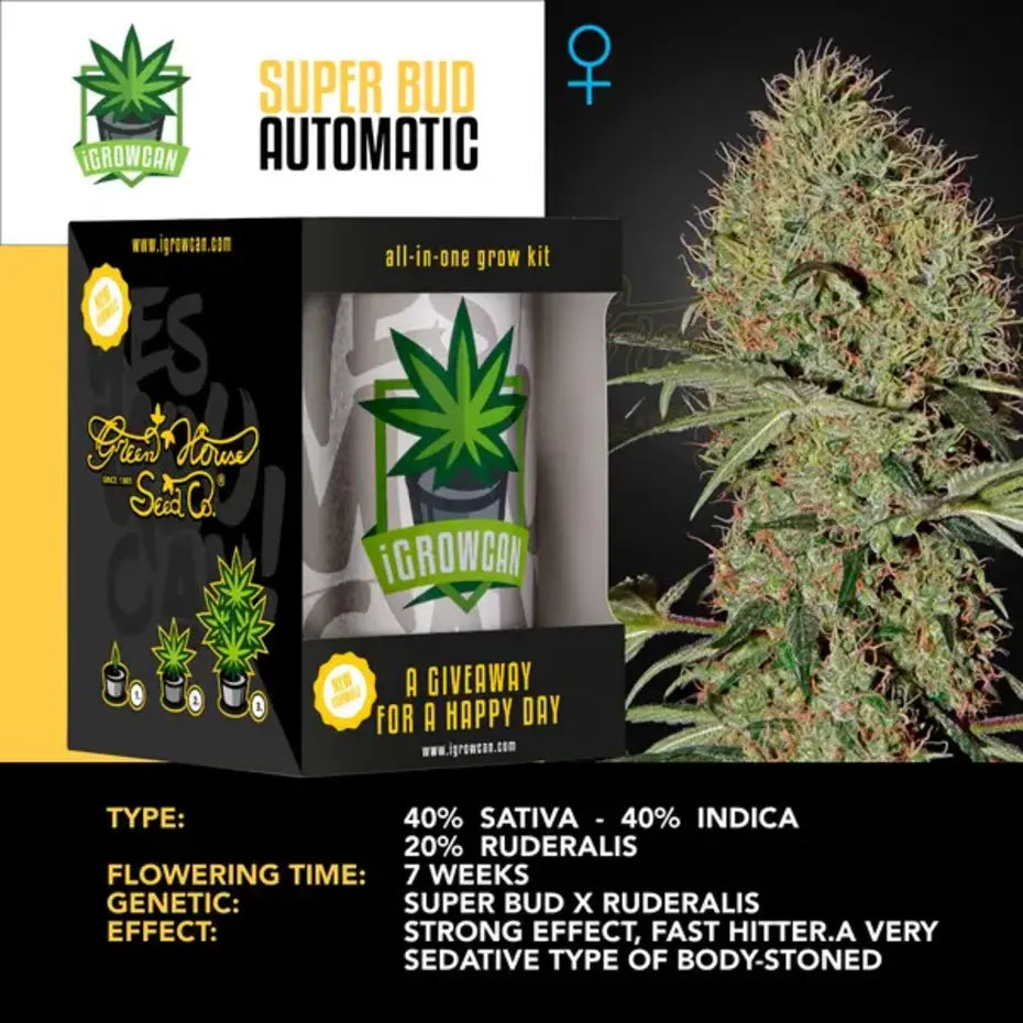 IGROWCAN-SUPER BUD AUTO