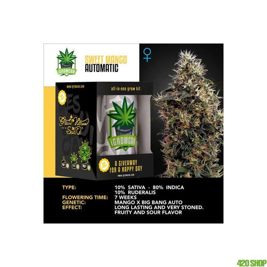 IGrowCan Sweet Mango Auto