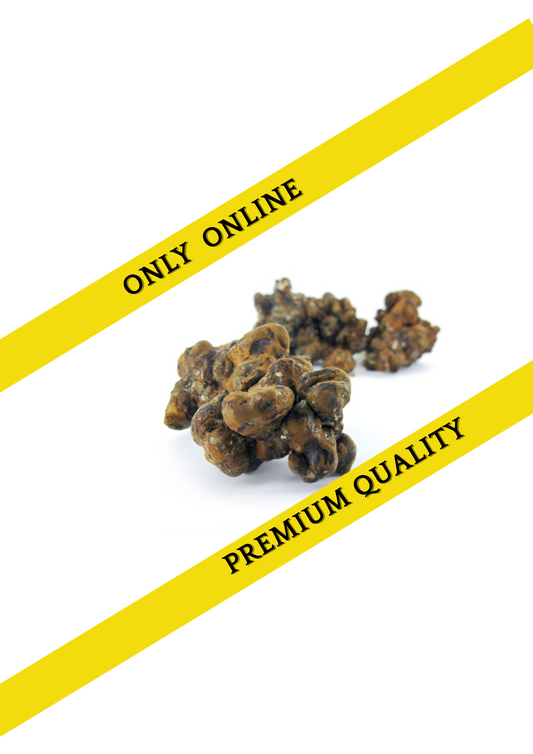 Magic truffles bulk - Psilocybe Pandora