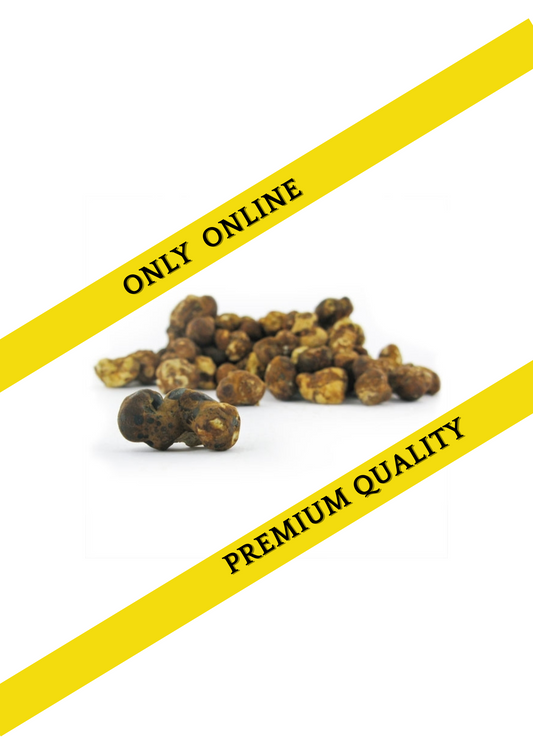 Magic truffles bulk -  Psilocybe Fantasia