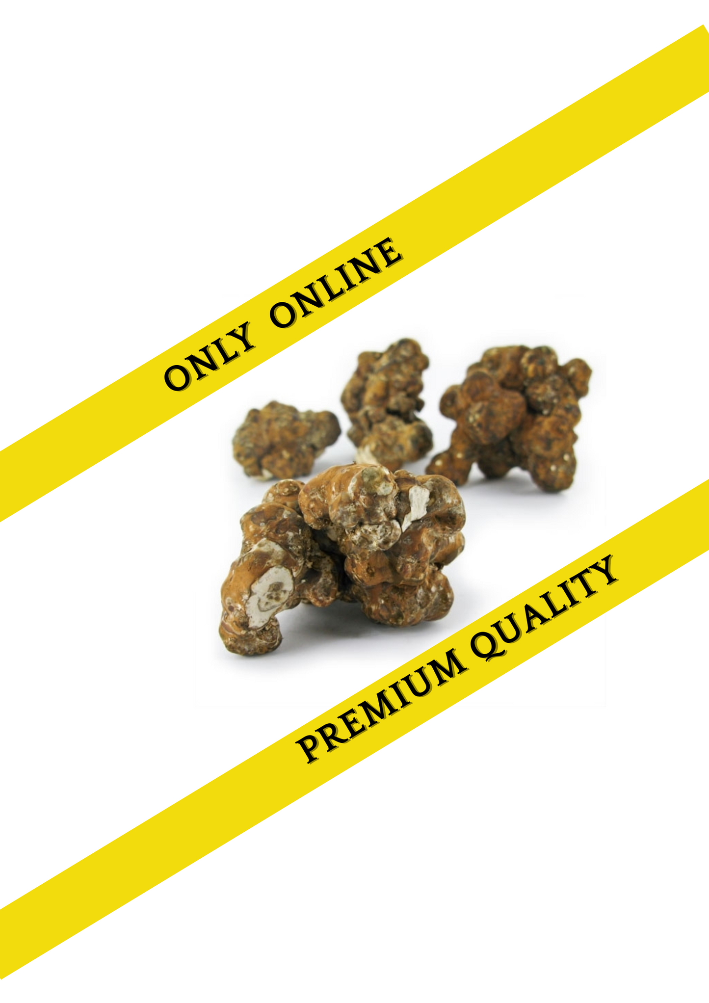 Magic truffles bulk - Psilocybe Utopia