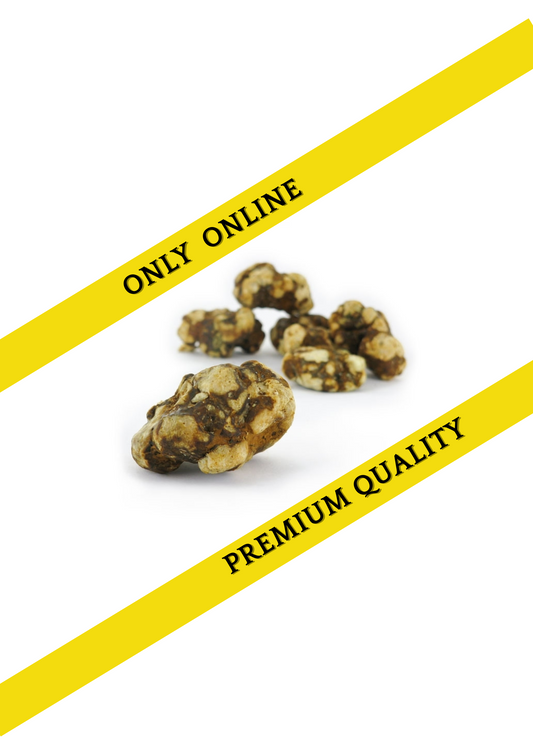 Magic truffles bulk - Psilocybe Atlantis