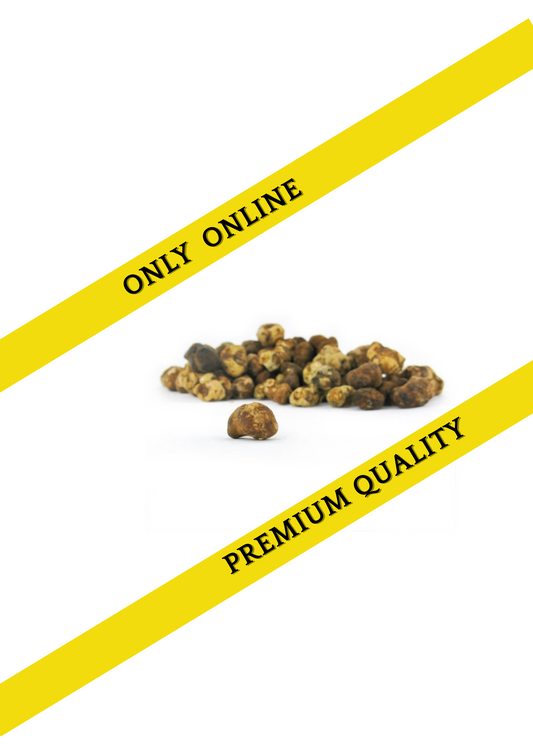 Magic truffles bulk - Psilocybe Pajaritos