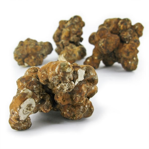 Premium Bronze Truffel 15 gram