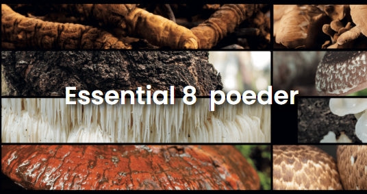Paddenstoelen met een gave