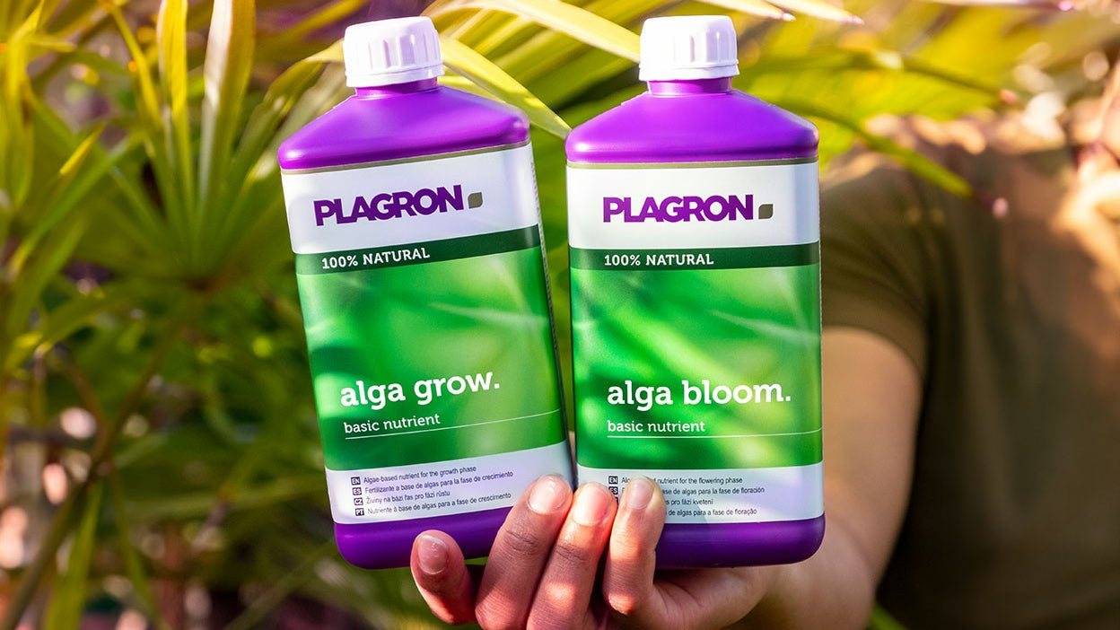 PLAGRON VOEDING
