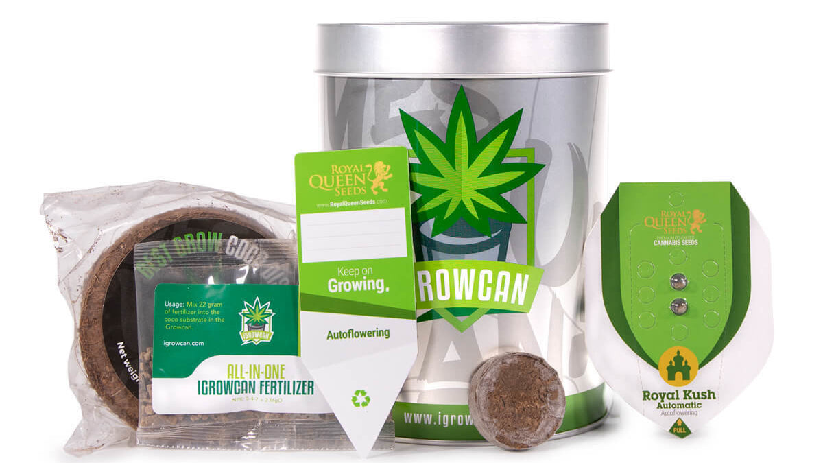 GROWKITS HEMP-PLANT