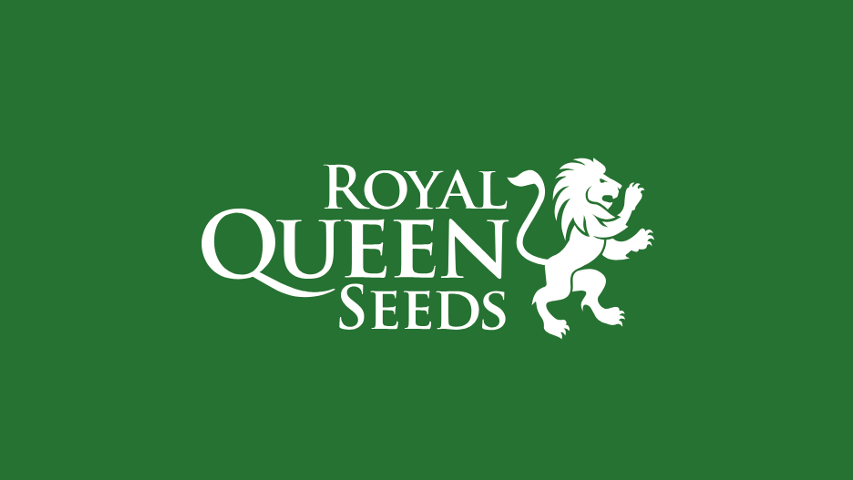 Royal Queen Seeds