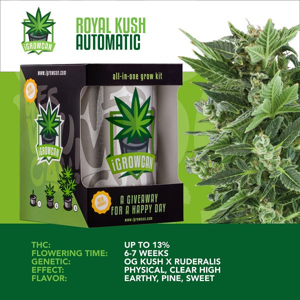 IGROWCAN – ROYAL KUSH AUTOMATIC