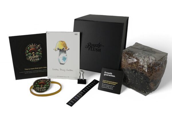 Royale Flush Iceberg Growkit – 1200cc