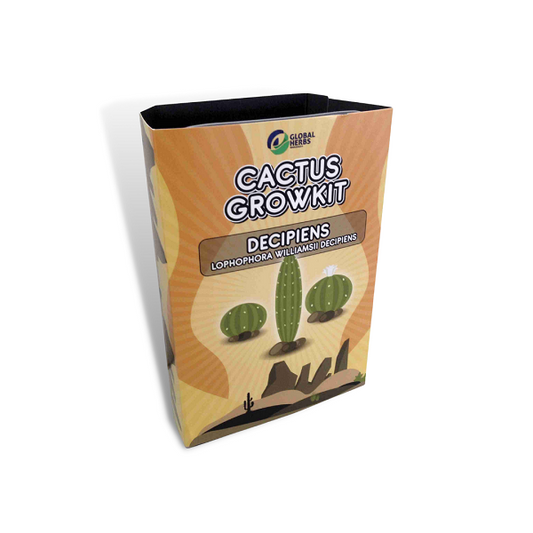 FRICII – LOPHOPHORA FICII