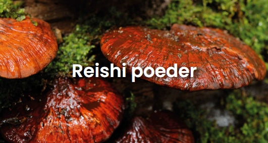 Reishi - 200 gram