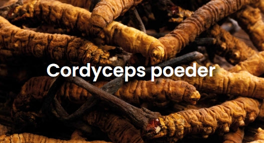 Cordyceps - 200 gram