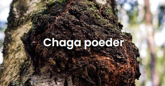Chaga - 200 gram