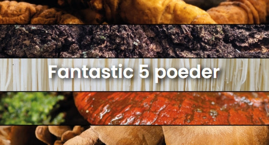 Fantastic 5 - 200 gram