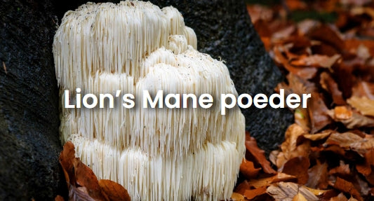 Lion's Mane - 200 gram