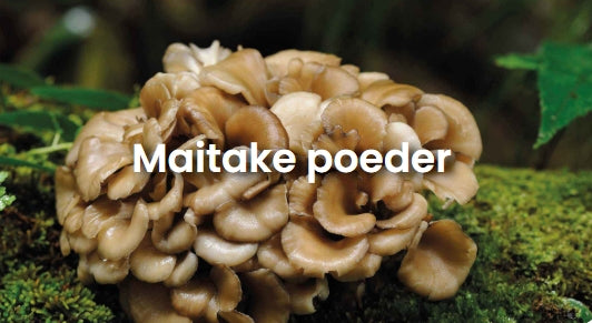 Maitake - 200 gram