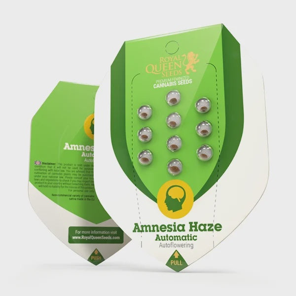 Amnesia Haze Auto