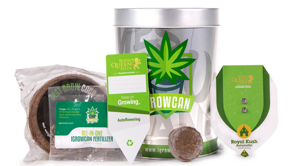 IGROWCAN – ROYAL KUSH AUTOMATIC