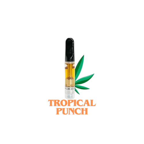 Tropical Punch HAZE