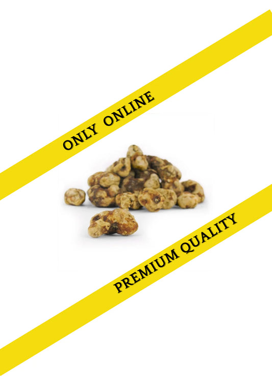 Magic truffles bulk - Psilocybe Tampanensis 250 Gram