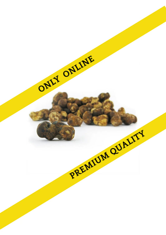 Magic truffles bulk - Psilocybe Fantasia 250 Gram