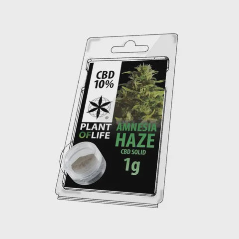 SOLID 10% CBD AMNESIA HAZE 1g
